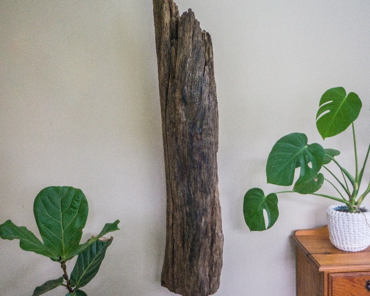 Driftwood Sculpture